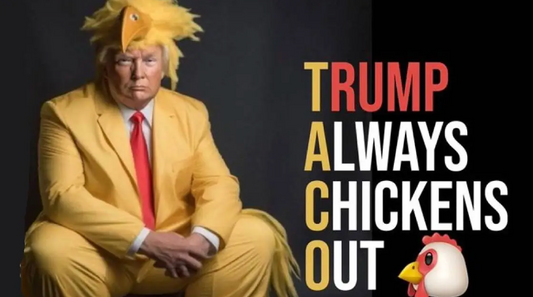 TACO - why Trumpm Always Chicken Out matters more and less than you think